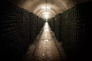 Подвалы завода шампанских вин "Абрау-Дюрсо" &copy;&nbsp;Елена Синеок, ЮГА.ру