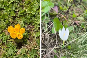  &copy;&nbsp;Фото пресс-службы курорта &laquo;Роза Хутор&raquo;