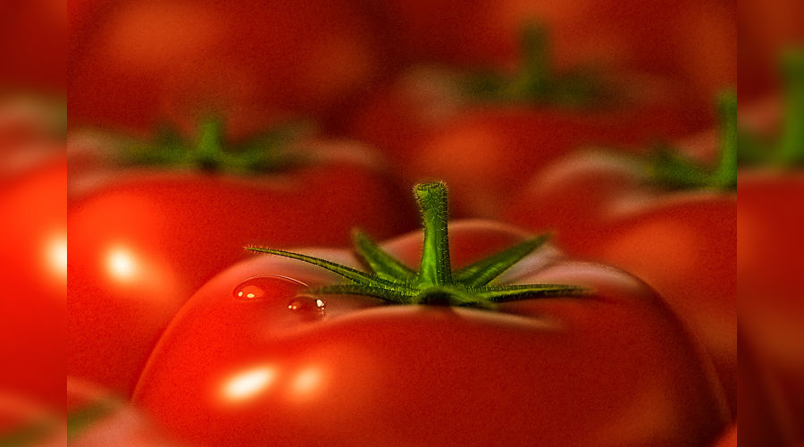 Помидоры &copy;&nbsp;http://bisnesideya.ru