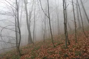  &copy;&nbsp;Фото пресс-службы Кавказского заповедника