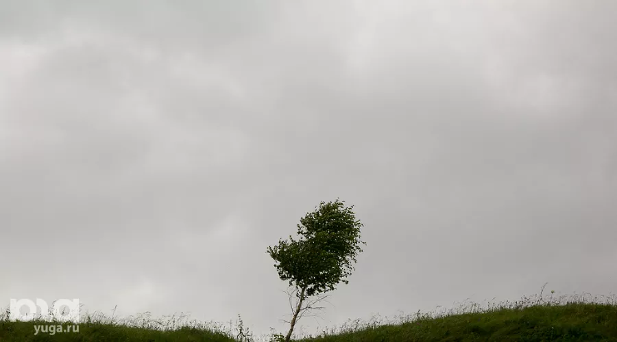  &copy;&nbsp;Фото Влада Александрова, Юга.ру