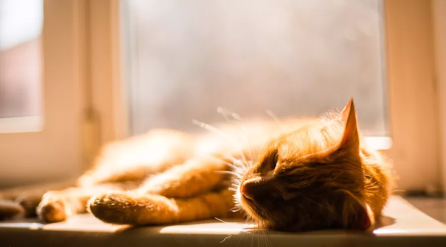  &copy;&nbsp;Фото пользователя wirestock с сайта freepik.com