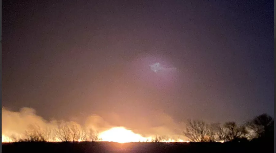  &copy;&nbsp;Скриншот из телеграм-канала эколога Георгия Каваносяна https://t.me/ecozhora/5005