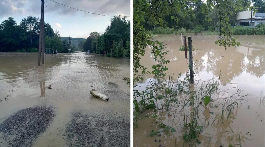  &copy;&nbsp;Коллаж из скриншотов фото из телеграм-канала &laquo;ТК Краснодар&raquo;