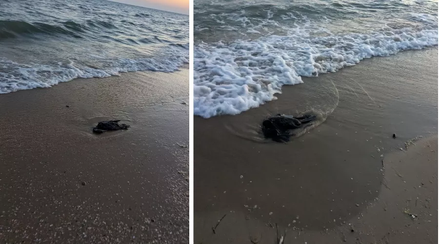  &copy;&nbsp;Коллаж из скриншотов фото из телеграм-канала &laquo;Юрий Озаровский Анапа Витязево Джемете&raquo;