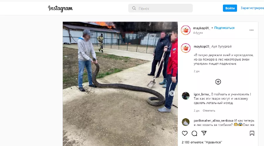  &copy;&nbsp;скриншот из паблика в инстаграме instagram.com/p/CazdZ_GjYnx/?utm_medium=copy_link