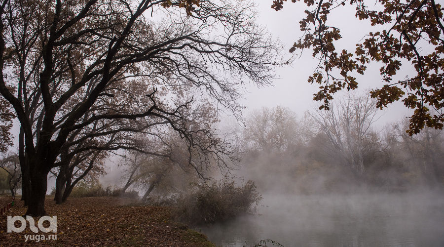  © Фото Елены Синеок, Юга.ру