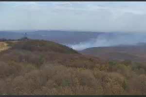  &copy;&nbsp;Скриншот из телеграм-канала Минприроды Краснодарского края https://t.me/mpr_kk/1101