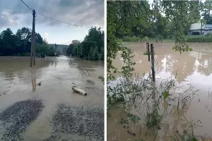  &copy;&nbsp;Коллаж из скриншотов фото из телеграм-канала &laquo;ТК Краснодар&raquo;