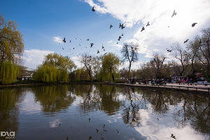  &copy;&nbsp;Фото Елены Синеок, Юга.ру