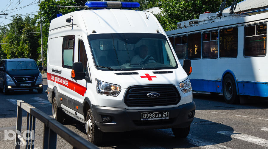  © Фото Елены Синеок, Юга.ру