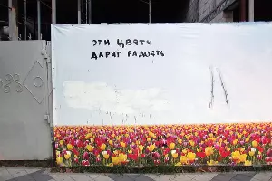 Серия работ «Симуляция благополучия» &copy;&nbsp;Фото из личного архива Максима Алехина