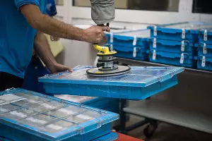 Процесс приема денежных средств от инкасаторов &copy;&nbsp;Фото Елены Синеок, Юга.ру