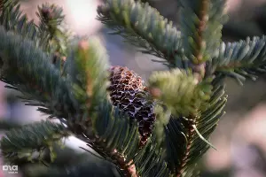  &copy;&nbsp;Фото Алены Живцовой, Юга.ру