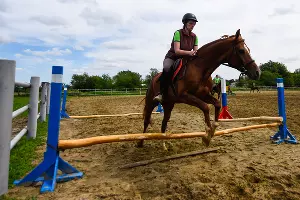 Конеферма учхоза &laquo;Кубань&raquo; &copy;&nbsp;Фото Елены Синеок, Юга.ру