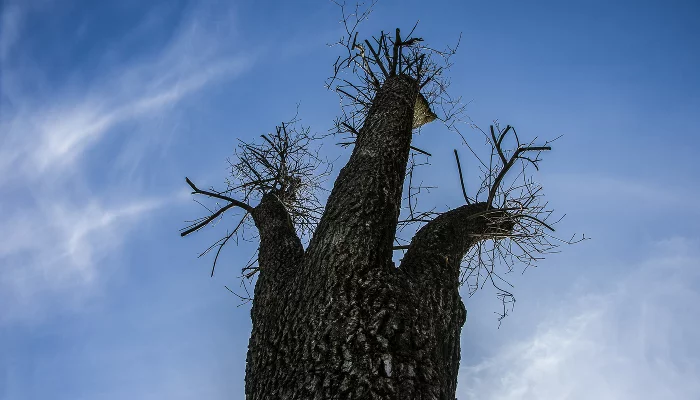  &copy;&nbsp;Фото Евгения Мельченко, Юга.ру