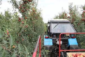  &copy;&nbsp;Фото пресс-службы ООО &laquo;АКСИС&raquo; ГК