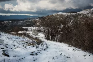 Горы Геленджика &copy;&nbsp;Фото Елены Синеок, Юга.ру