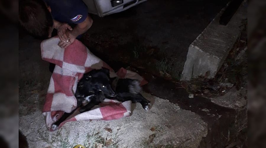  © Фото со страницы Алексея Одерова в инстаграме, instagram.com/alekseioderov