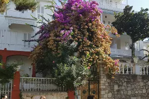  &copy;&nbsp;Фото Анастасии Щегловой, Юга.ру