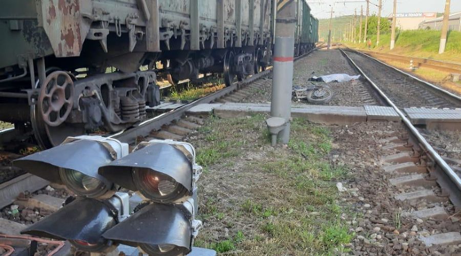  &copy;&nbsp;Фото пресс-службы УТ МВД по ЮФО