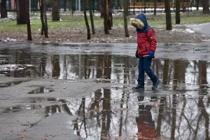  &copy;&nbsp;Фото Елены Синеок, Юга.ру