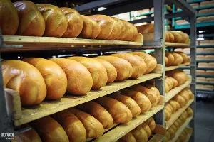  &copy;&nbsp;Елена Синеок, ЮГА.ру