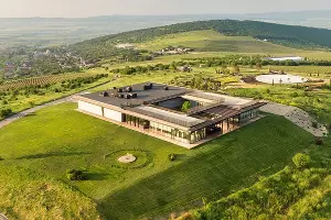  &copy;&nbsp;Фото пресс-службы &laquo;Виноградников Гай Кодзора&raquo;