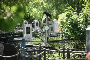  &copy;&nbsp;Фото Елены Синеок, Юга.ру