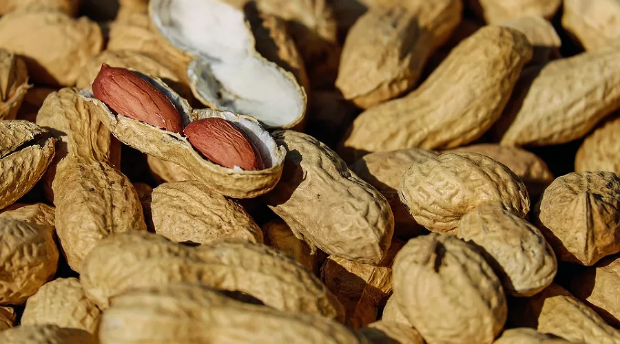  &copy;&nbsp;Фото с сайта pixabay.com