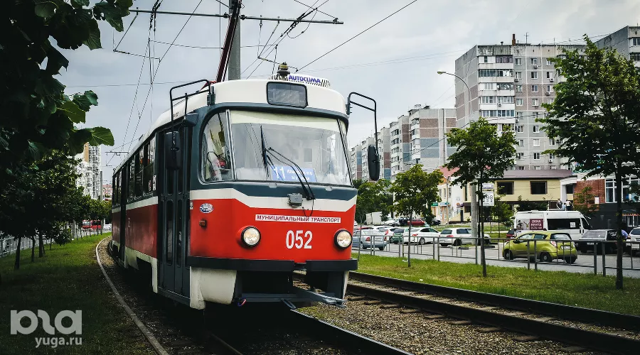  &copy;&nbsp;Фото Елены Синеок, Юга.ру