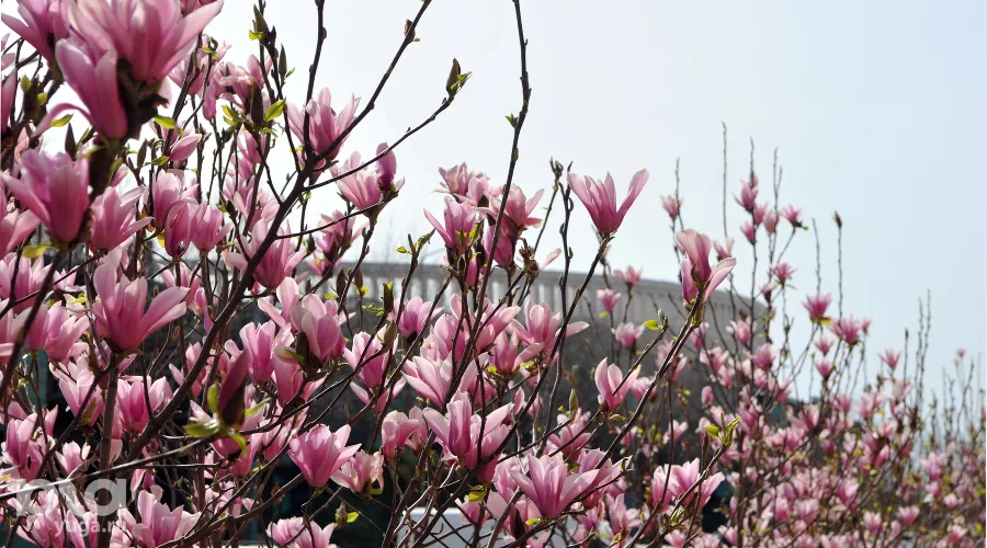  &copy;&nbsp;Фото Марины Солошко, Юга.ру