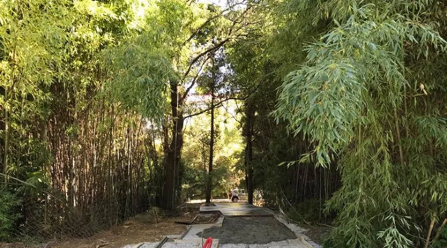 Работы по устройству сквера «Фестивального» в Сочи &copy;&nbsp;Фото пресс-службы администрации Сочи