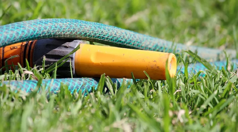  &copy;&nbsp;Фото с сайта pixabay.com