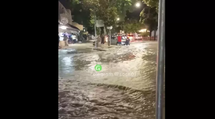  &copy;&nbsp;Скриншот из телеграм-канала &laquo;Сочи №1&raquo;, t.me/soch01