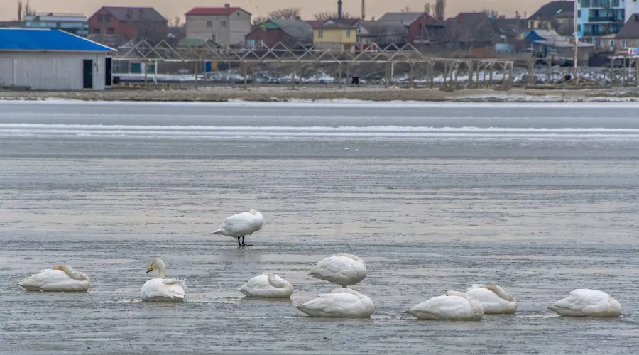 Погода в Новороссийске &copy;&nbsp;фото Sega Black-Sea