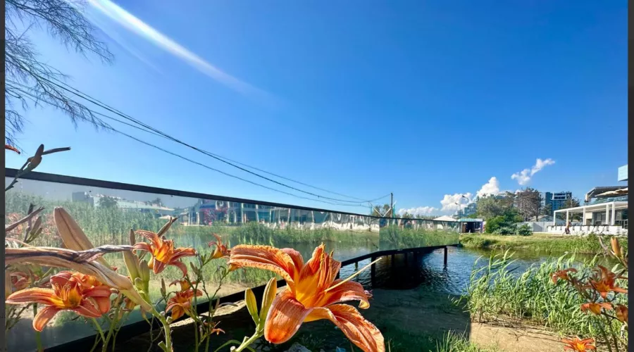  &copy;&nbsp;Скриншот из телеграм-канала &laquo;Курорт Анапа&raquo; https://t.me/kurortanapa/5534