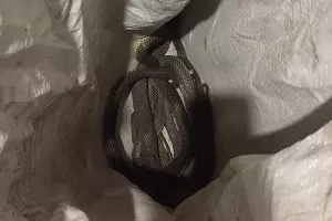  &copy;&nbsp;Фото пресс-службы &laquo;Кубань-Спас&raquo;