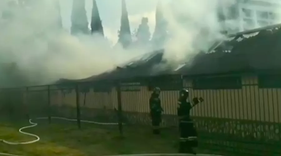  &copy;&nbsp;Скриншот видео из паблика &laquo;Типичный Сочи&raquo;, vk.com/this_is_sochi