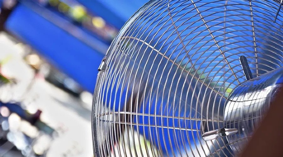  &copy;&nbsp;Фото с сайта pixabay.com