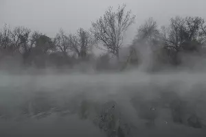 Туман в парке «Солнечный остров» &copy;&nbsp;Фото Елены Синеок, Юга.ру