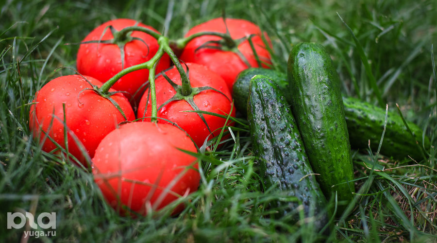 Огурцы (35,55 р. за 1 кг) и помидоры (149 р. за 1 кг) &copy;&nbsp;Елена Синеок, Юга.ру