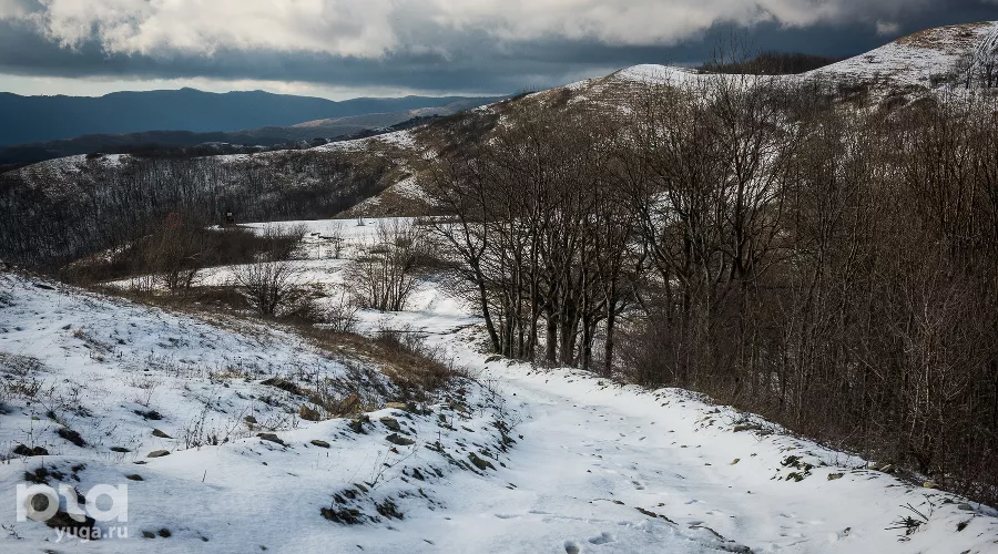  &copy;&nbsp;Фото Елены Синеок, Юга.ру