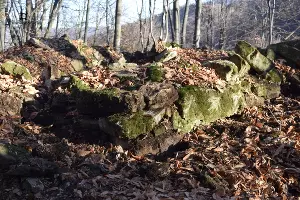Сторожевая башня &copy;&nbsp;Фото ГКУ &laquo;Археологический центр им. Крупнова&raquo;