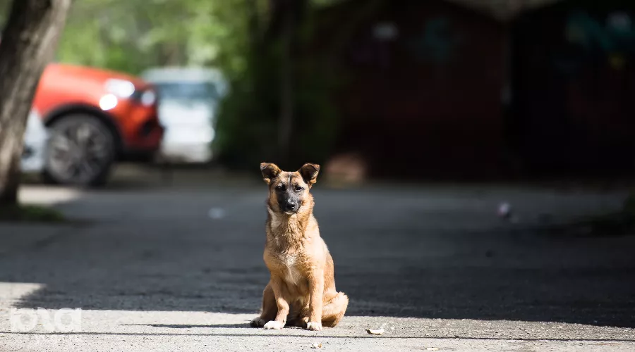  &copy;&nbsp;Фото Елены Синеок, Юга.ру