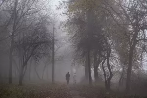 Туман в парке «Солнечный остров» &copy;&nbsp;Фото Елены Синеок, Юга.ру