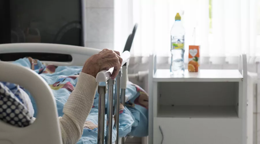  &copy;&nbsp;Фото Елены Синеок, Юга.ру