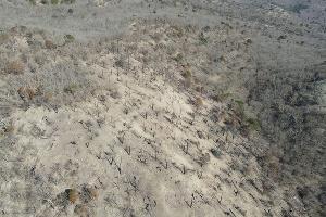 Заповедник "Утриш" &copy;&nbsp;Фото Андрея Маковозова, предоставлено Юга.ру