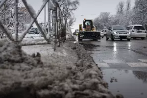 Снег в Краснодаре &copy;&nbsp;Фото Елены Синеок, Юга.ру
