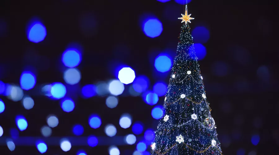  &copy;&nbsp;Фото Елены Синеок, Юга.ру